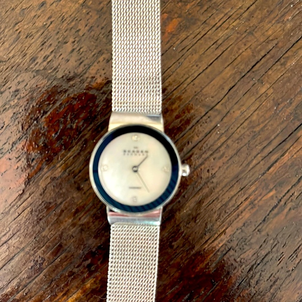 Skagen womens elegant watch